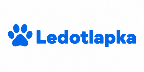 Ledotlapka